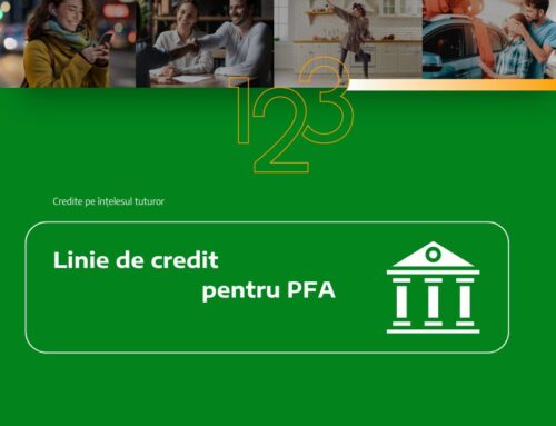 Linie de credit pentru PFA