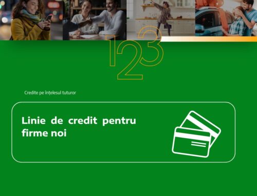 Linie de credit pentru firme noi