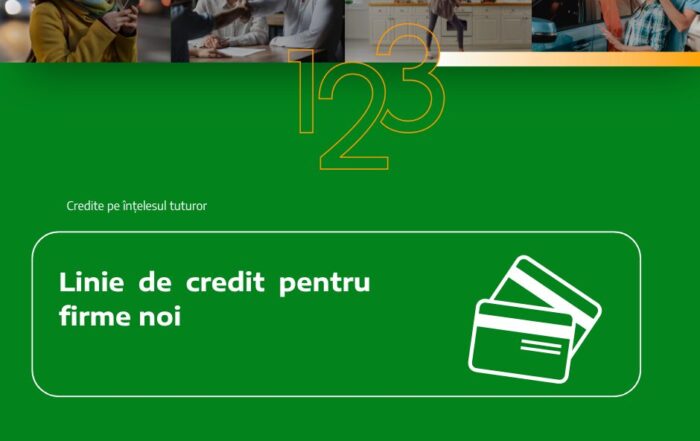 Linie de credit pentru firme noi