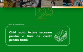 Ghid rapid: Actele necesare pentru o linie de credit pentru firmă