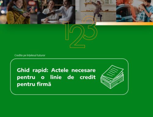 Ghid rapid: Actele necesare pentru o linie de credit pentru firmă