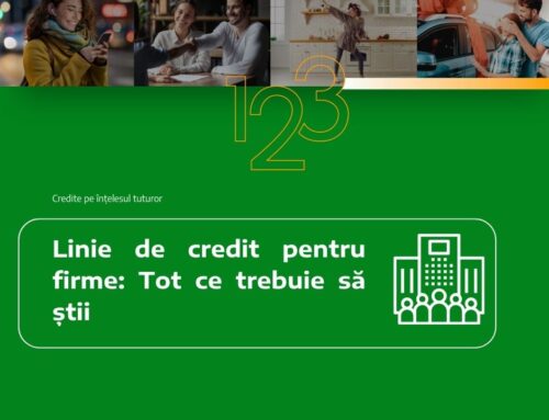 Linie de credit pentru firme: Tot ce trebuie să știi