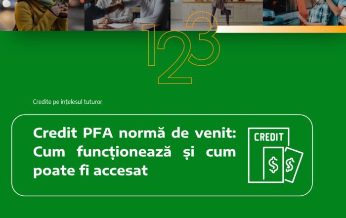 Credit PFA normă de venit: Cum funcționează și cum poate fi accesat