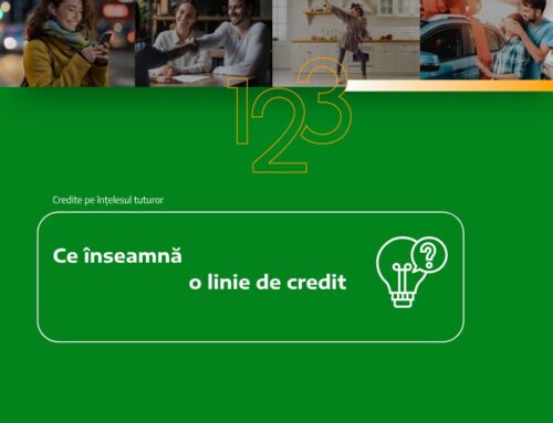 Ce înseamnă o linie de credit