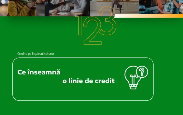 Ce înseamnă o linie de credit