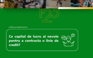 Ce capital de lucru ai nevoie pentru a contracta o linie de credit?