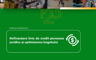 Refinanțare linie de credit persoane juridice și optimizarea bugetului