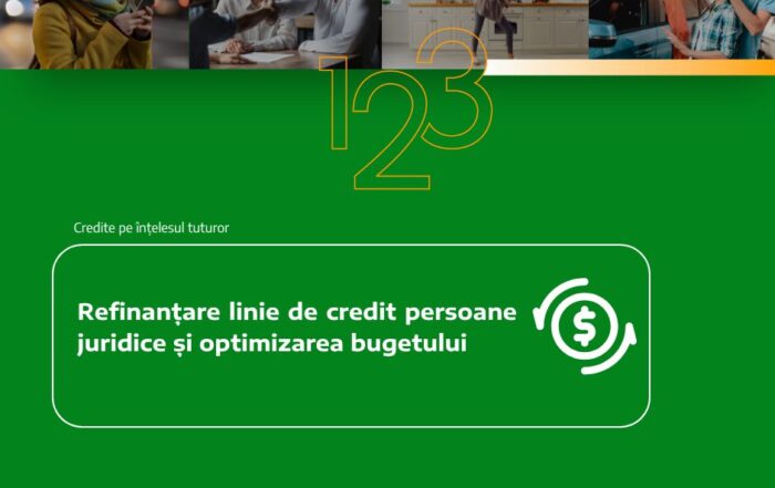 Refinanțare linie de credit persoane juridice și optimizarea bugetului