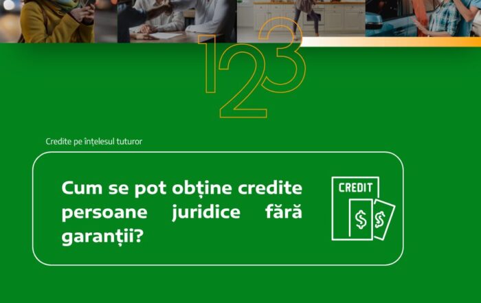 Cum se pot obține credite persoane juridice fără garanții?