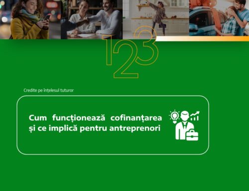 Cum funcționează cofinanțarea și ce implică pentru antreprenori