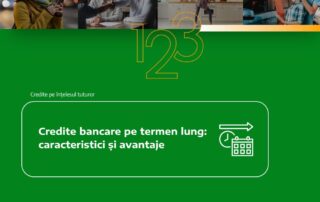 credite bancare pe termen lung