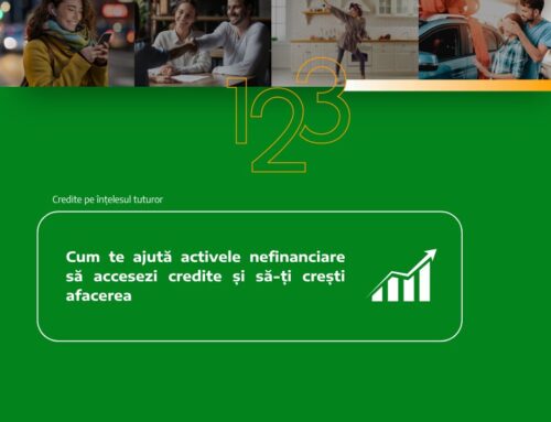 Cum te ajută activele nefinanciare să accesezi credite și să-ți crești afacerea