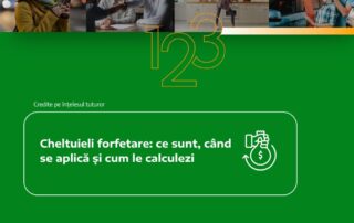 cheltuieli forfetare