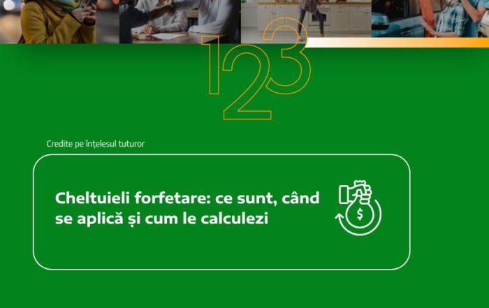 cheltuieli forfetare