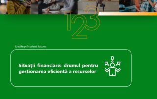situatii financiare