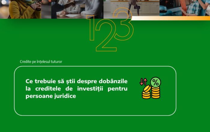 dobanzi credite investitii persoane juridice