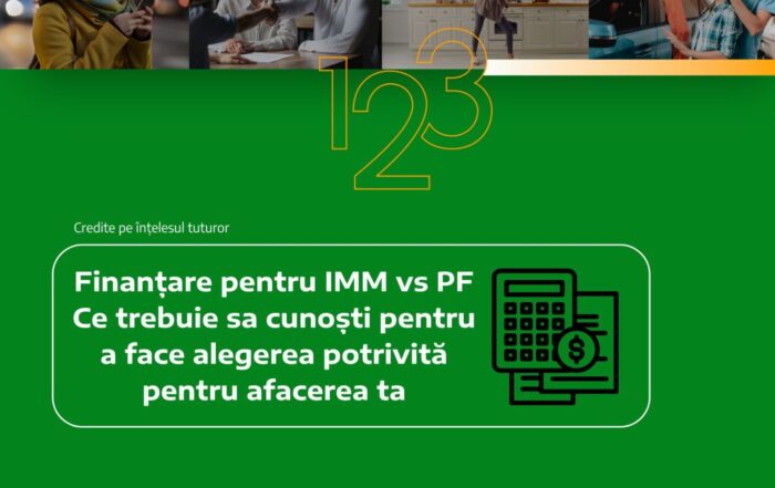 IMM vs PF finantare