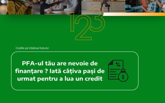 finantare pentru pfa creditare